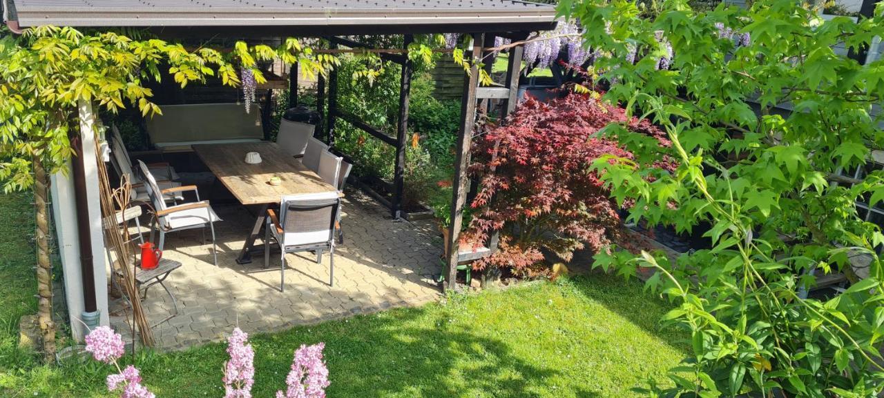 Apartment Rose Fritzlar Dış mekan fotoğraf