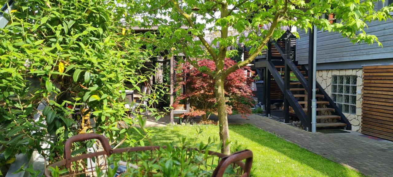 Apartment Rose Fritzlar Dış mekan fotoğraf